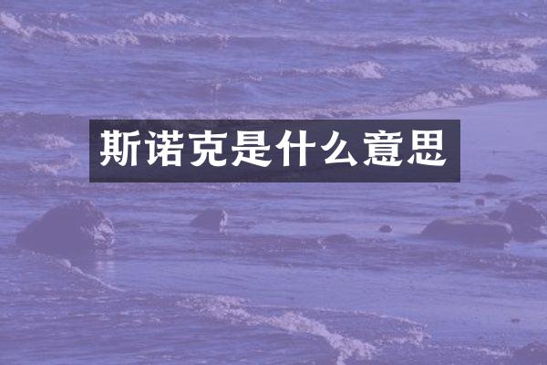 斯诺克是什么意思