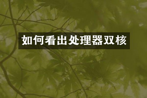 如何看出处理器双核