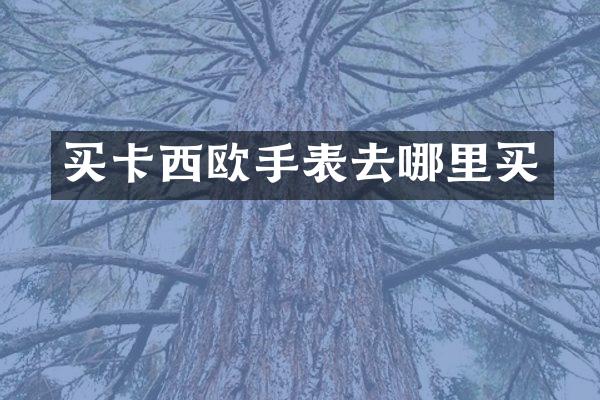 买卡西欧手表去哪里买