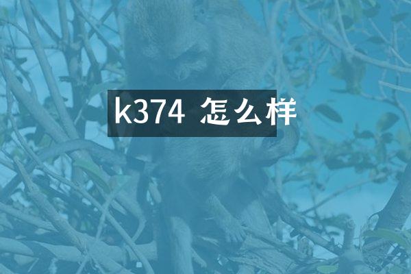 k374 怎么样