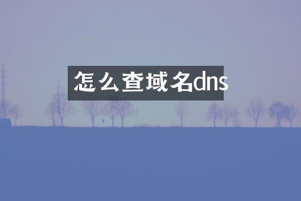 怎么查域名dns