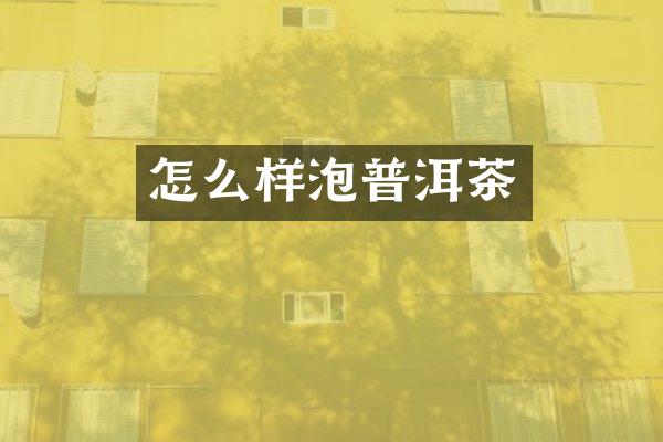 怎么样泡普洱茶