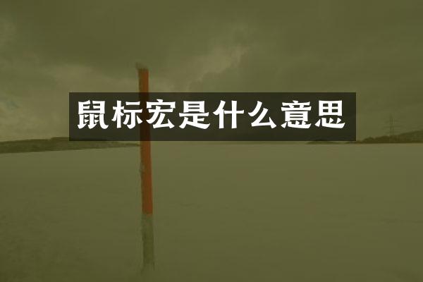 鼠标宏是什么意思