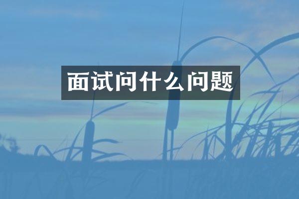 面试问什么问题