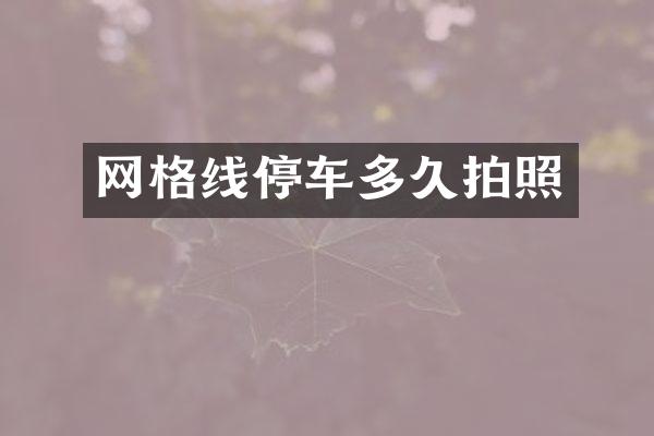 网格线停车多久拍照