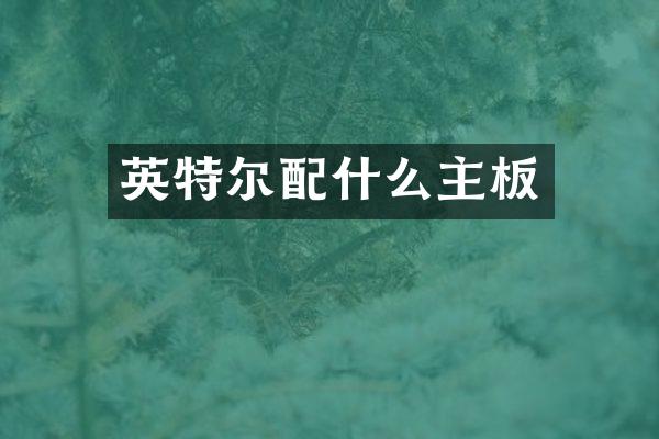 英特尔配什么主板