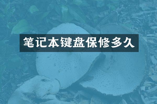 笔记本键盘保修多久