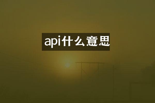 api什么意思
