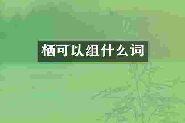 栖可以组什么词