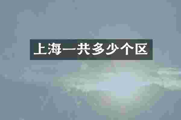 上海一共多少个区