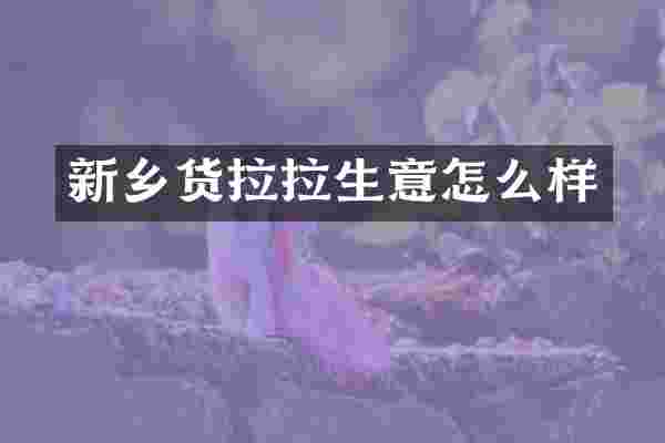 新乡货拉拉生意怎么样