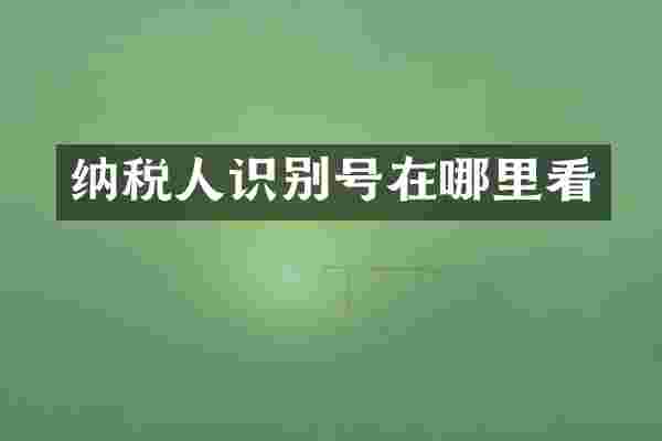纳税人识别号在哪里看