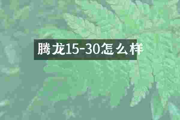 腾龙15-30怎么样