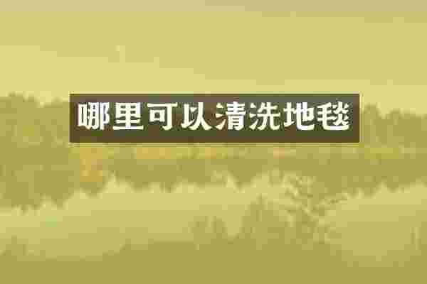 哪里可以清洗地毯