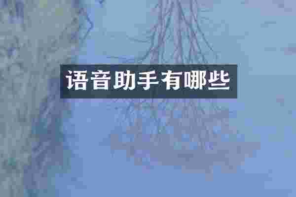 语音助手有哪些