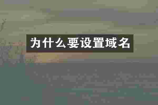 为什么要设置域名