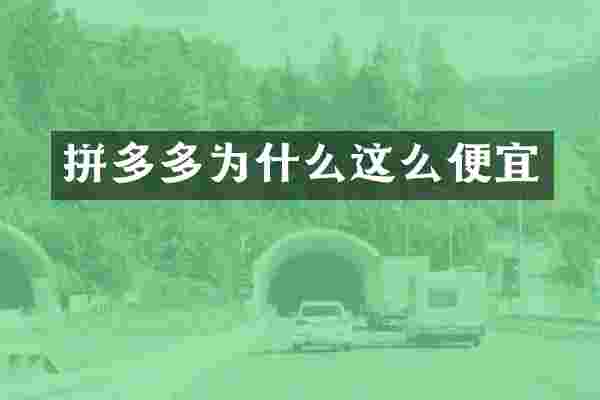 拼多多为什么这么便宜
