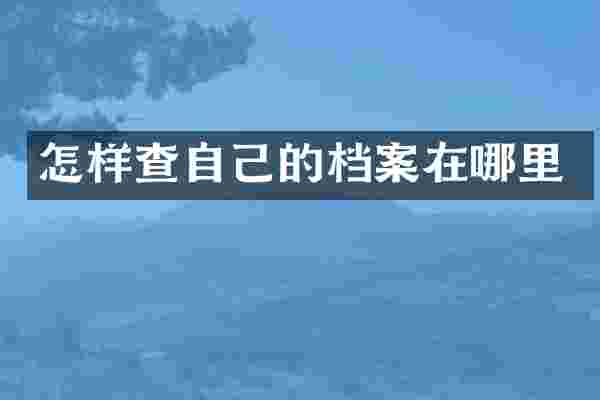 怎样查自己的档案在哪里