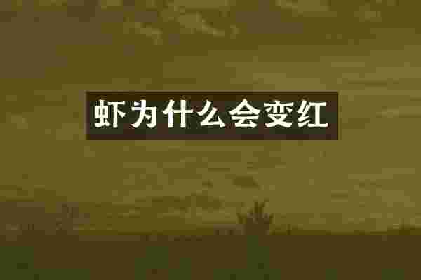 虾为什么会变红