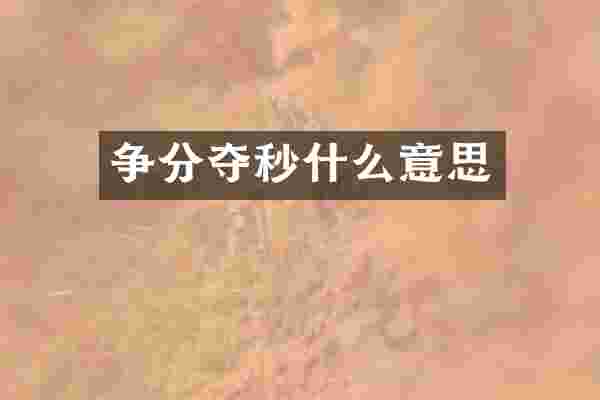争分夺秒什么意思