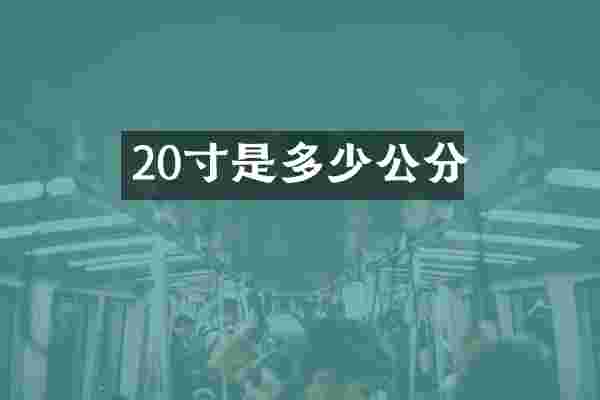 20寸是多少公分