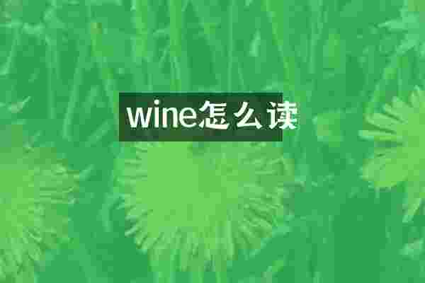 wine怎么读