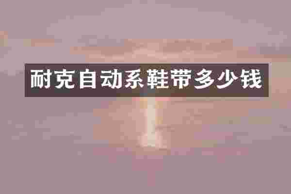 耐克自动系鞋带多少钱