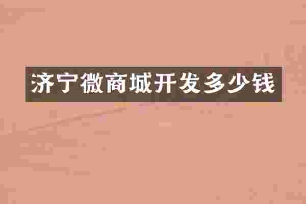 济宁微商城开发多少钱