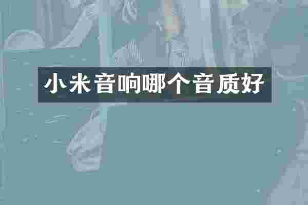 小米音响哪个音质好