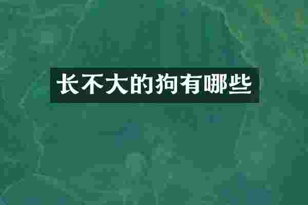 长不大的狗有哪些