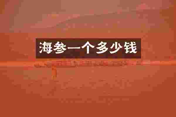 海参一个多少钱