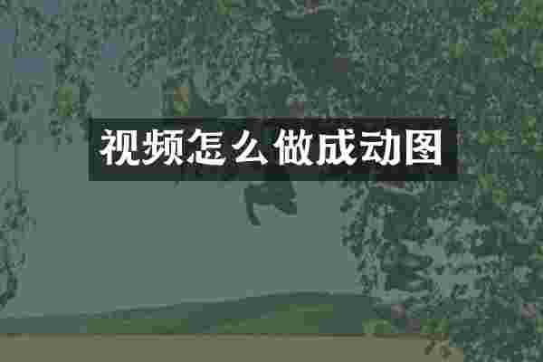 视频怎么做成动图
