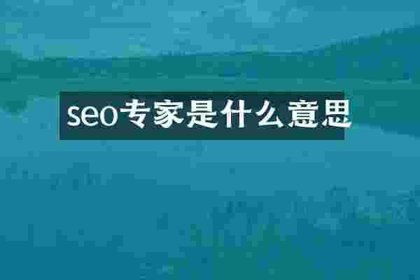 seo专家是什么意思