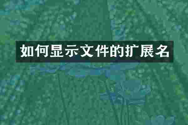 如何显示文件的扩展名