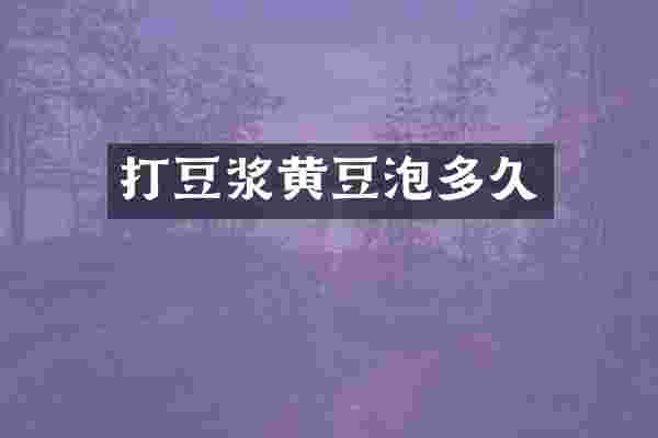 打豆浆黄豆泡多久