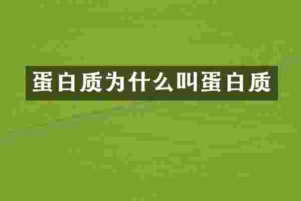 蛋白质为什么叫蛋白质