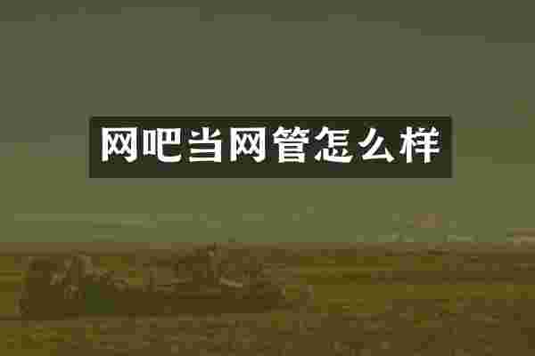 网吧当网管怎么样