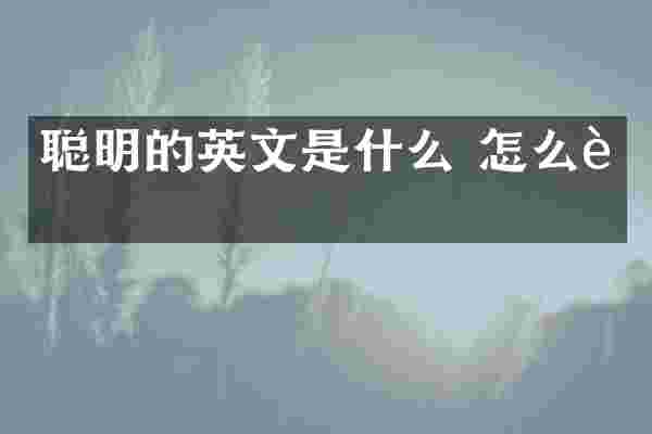 聪明的英文是什么 怎么读