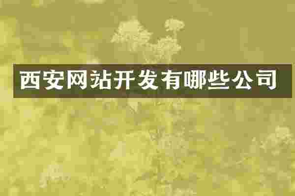 西安网站开发有哪些公司
