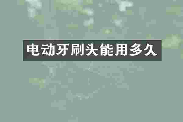 电动牙刷头能用多久