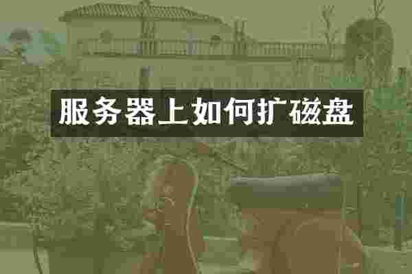 服务器上如何扩磁盘