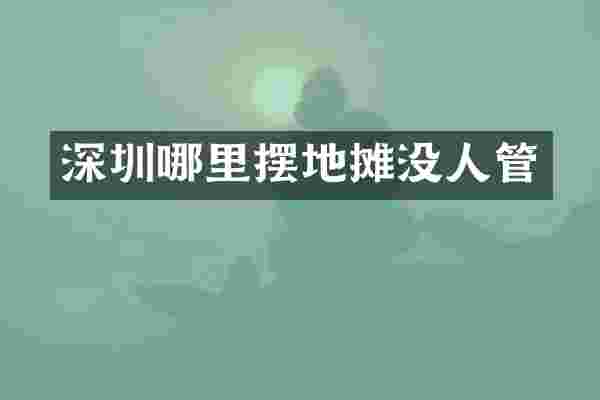深圳哪里摆地摊没人管