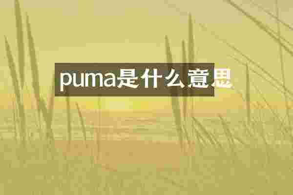 puma是什么意思
