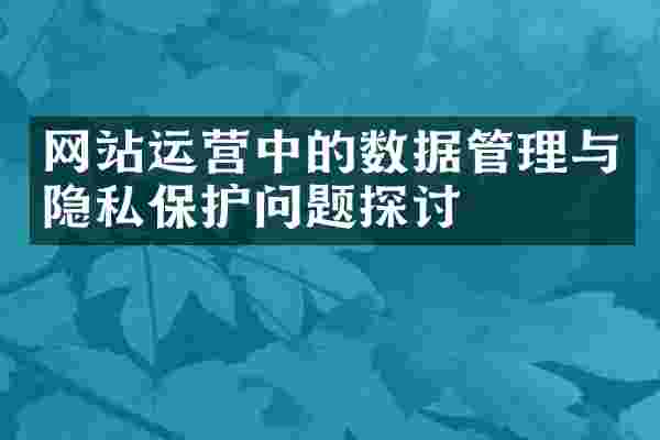 网站运营中的数据管理与隐私保护问题探讨