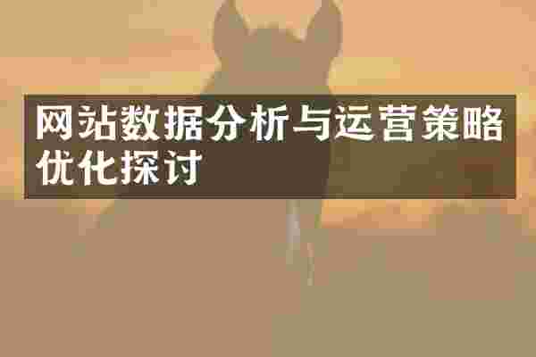 网站数据分析与运营策略优化探讨