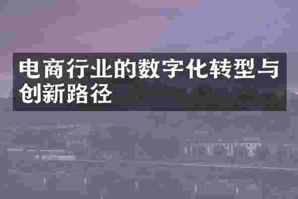电商行业的数字化转型与创新路径