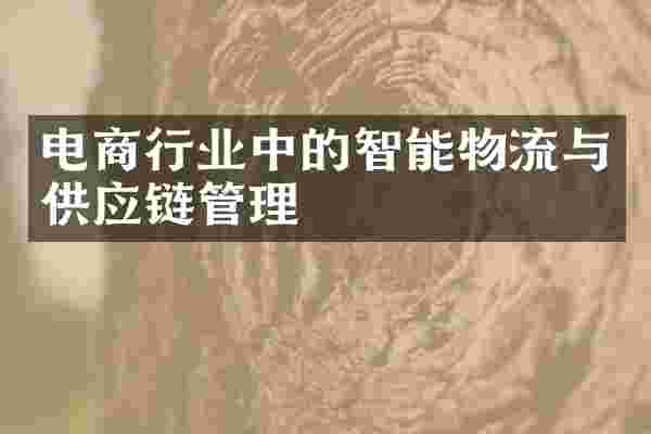 电商行业中的智能物流与供应链管理