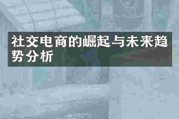社交电商的崛起与未来趋势分析