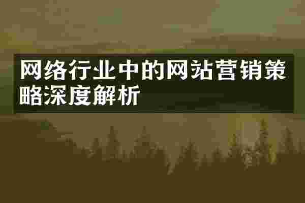网络行业中的网站营销策略深度解析