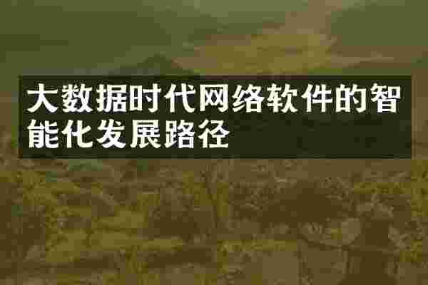大数据时代网络软件的智能化发展路径
